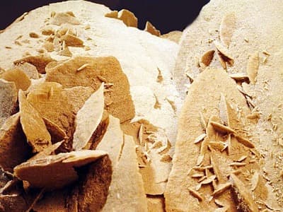Barite Desert Rose crystal