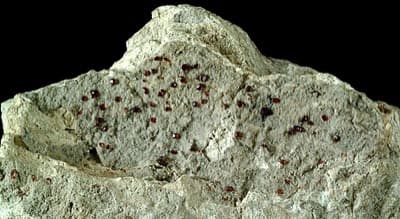 Spessartine Garnet crystal