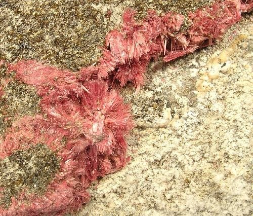 Erythrite 2 8H2O crystal